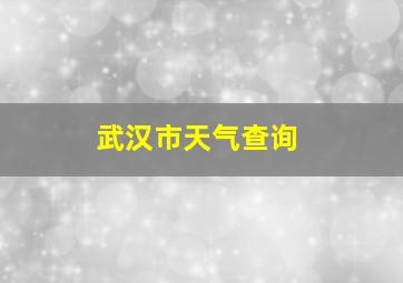 武汉市天气查询