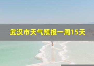 武汉市天气预报一周15天