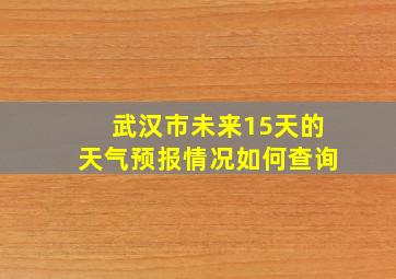 武汉市未来15天的天气预报情况如何查询