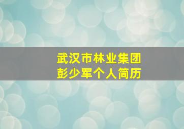 武汉市林业集团彭少军个人简历