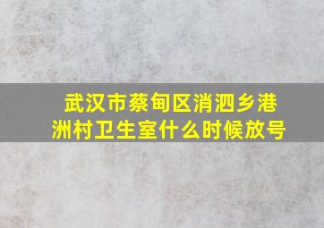 武汉市蔡甸区消泗乡港洲村卫生室什么时候放号