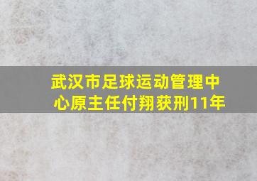 武汉市足球运动管理中心原主任付翔获刑11年