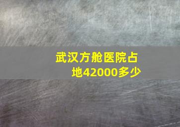 武汉方舱医院占地42000多少