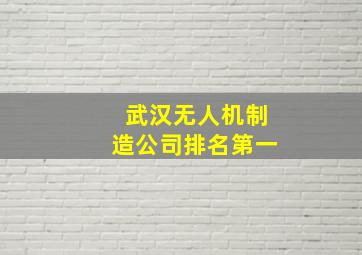 武汉无人机制造公司排名第一