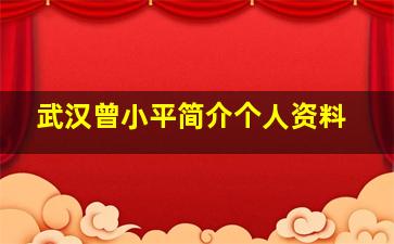 武汉曾小平简介个人资料