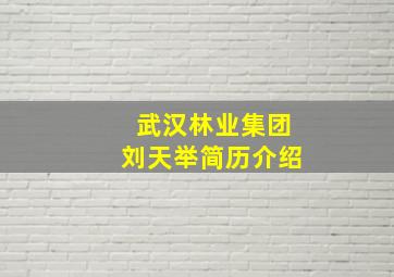 武汉林业集团刘天举简历介绍