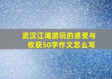 武汉江滩游玩的感受与收获50字作文怎么写