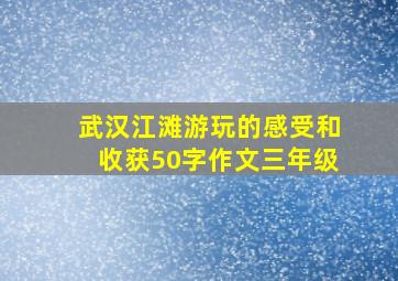 武汉江滩游玩的感受和收获50字作文三年级