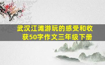 武汉江滩游玩的感受和收获50字作文三年级下册