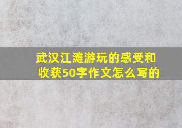 武汉江滩游玩的感受和收获50字作文怎么写的