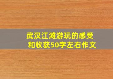 武汉江滩游玩的感受和收获50字左右作文