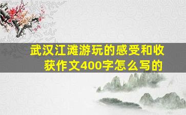 武汉江滩游玩的感受和收获作文400字怎么写的