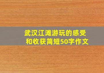 武汉江滩游玩的感受和收获简短50字作文