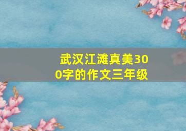 武汉江滩真美300字的作文三年级