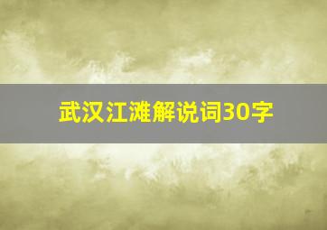 武汉江滩解说词30字