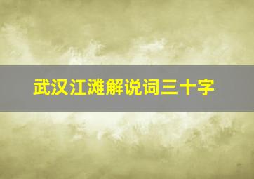 武汉江滩解说词三十字