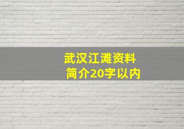 武汉江滩资料简介20字以内