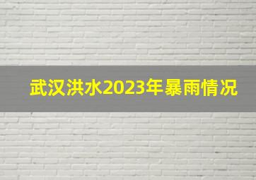 武汉洪水2023年暴雨情况