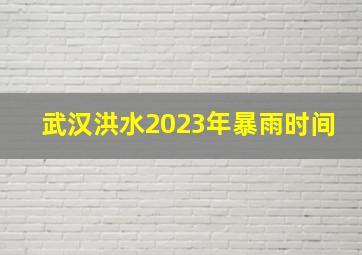 武汉洪水2023年暴雨时间