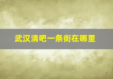 武汉清吧一条街在哪里