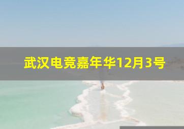 武汉电竞嘉年华12月3号