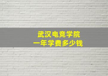 武汉电竞学院一年学费多少钱