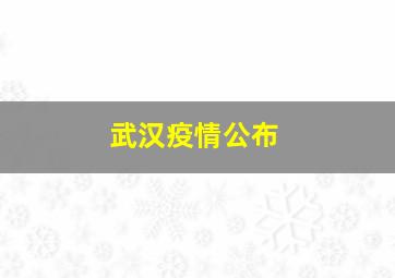 武汉疫情公布