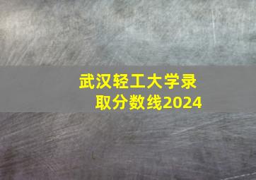 武汉轻工大学录取分数线2024