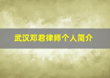 武汉邓君律师个人简介