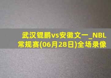 武汉锟鹏vs安徽文一_NBL常规赛(06月28日)全场录像