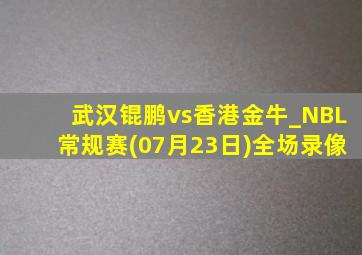 武汉锟鹏vs香港金牛_NBL常规赛(07月23日)全场录像