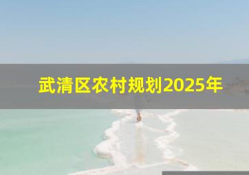 武清区农村规划2025年