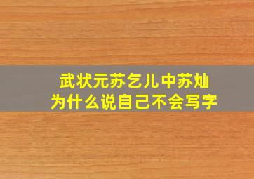 武状元苏乞儿中苏灿为什么说自己不会写字