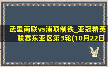 武里南联vs浦项制铁_亚冠精英联赛东亚区第3轮(10月22日)全场集锦