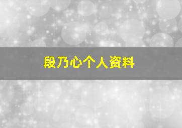 段乃心个人资料