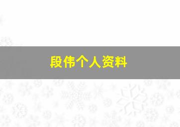 段伟个人资料