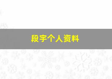 段宇个人资料