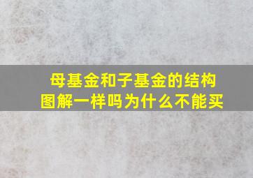 母基金和子基金的结构图解一样吗为什么不能买