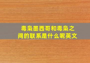 毒枭墨西哥和毒枭之间的联系是什么呢英文