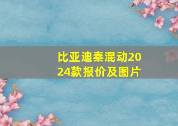 比亚迪秦混动2024款报价及图片