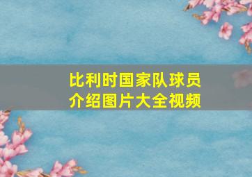 比利时国家队球员介绍图片大全视频