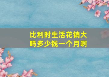 比利时生活花销大吗多少钱一个月啊