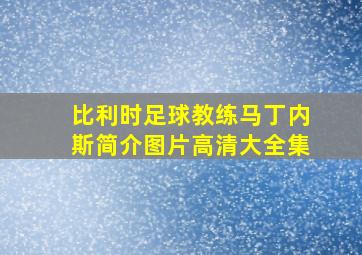 比利时足球教练马丁内斯简介图片高清大全集