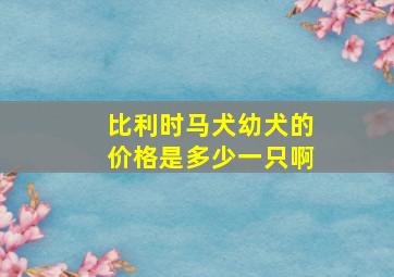 比利时马犬幼犬的价格是多少一只啊