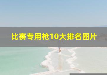 比赛专用枪10大排名图片