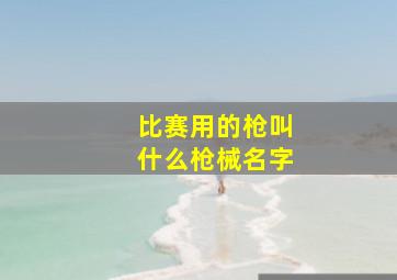 比赛用的枪叫什么枪械名字