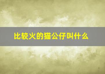 比较火的猫公仔叫什么