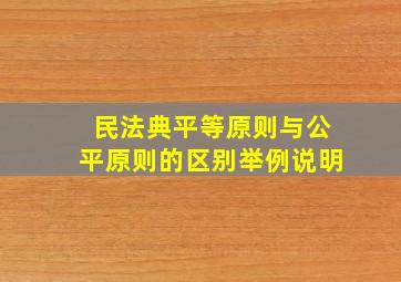 民法典平等原则与公平原则的区别举例说明