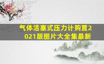 气体活塞式压力计购置2021版图片大全集最新