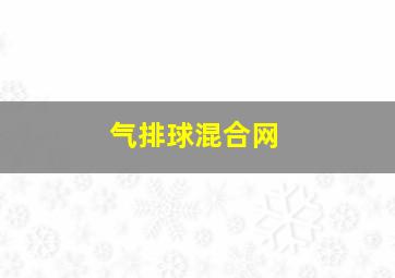 气排球混合网